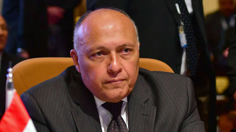 وزير الخارجية المصري في تركيا