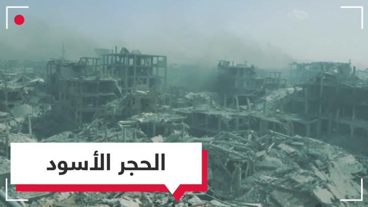 كيف يبدو 