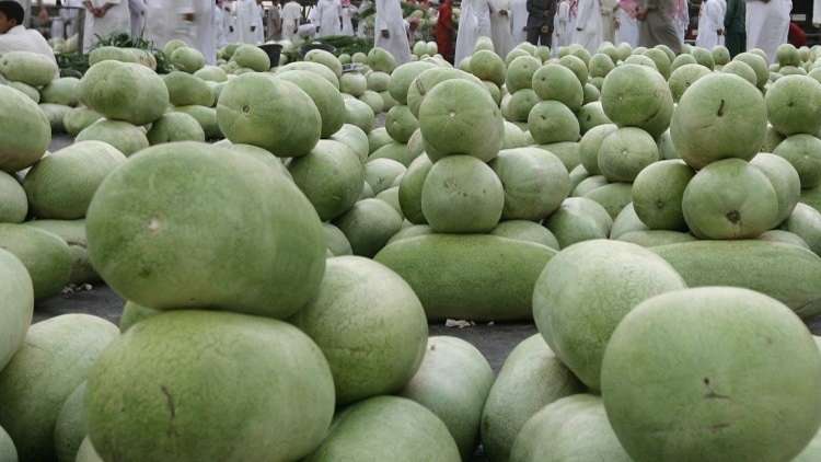 موسم "الرقّي" العراقي في خطر!