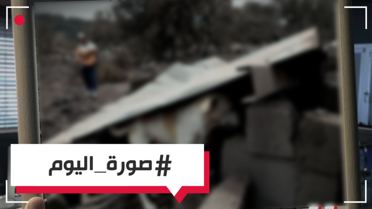 صورة اليوم - كلب يختبئ تحت صفيحة في منطقة متضررة من بركان جواتيمالا
