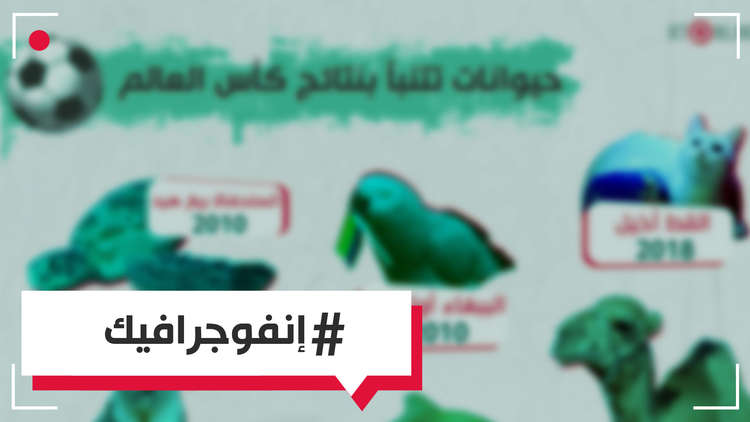 انفوغراف - حيوانات تتنبأ بنتائج مباريات كأس العالم 