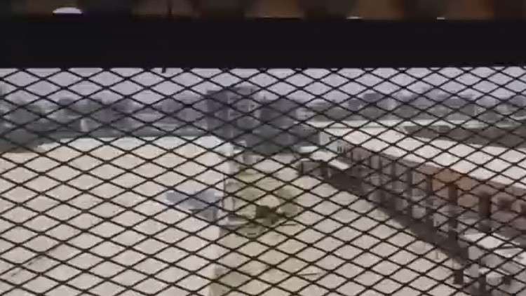 الإمارات: لا علاقة لنا بسجون اليمن!