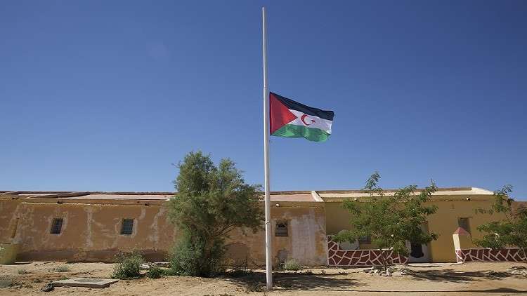 الأمم المتحدة تبحث عن 