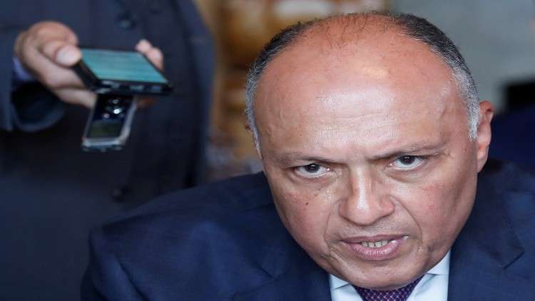  مذيعة صينية تتوشح بالعلم المصري أمام شكري 