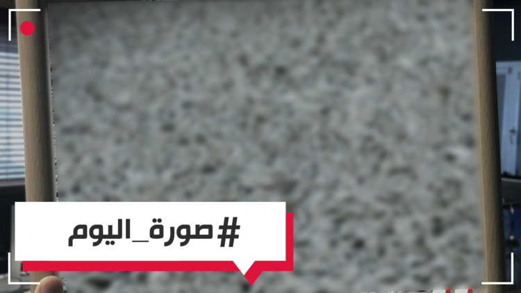  أسماك نافقة تطفو على سطح بحيرة في فيتنام بسبب التلوث 