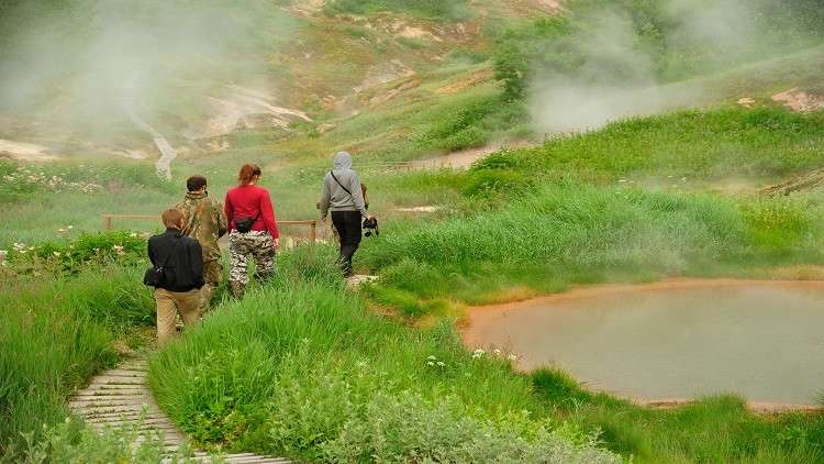 عندما تقفز الضحية في فم القاتل طواعية