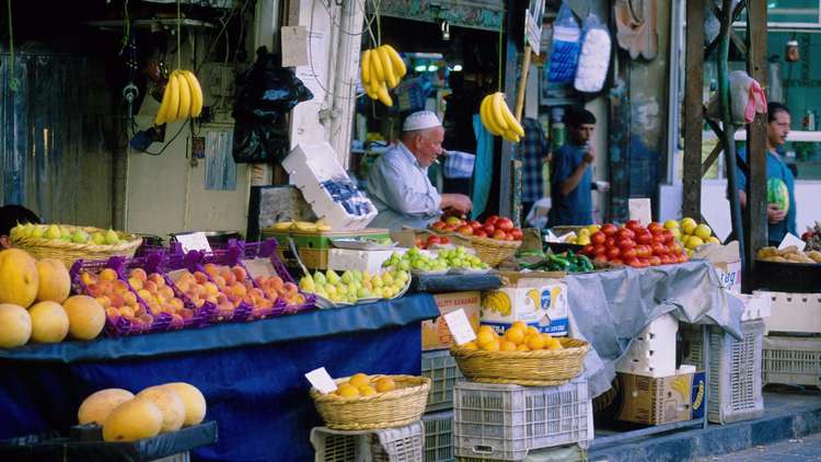 قريبا .. سوريا تستأنف تصدير الخضراوات والفواكه إلى 3 دول عربية