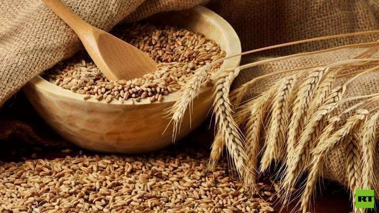  الأمم المتحدة تشتري 50 ألف طن من القمح لليمن