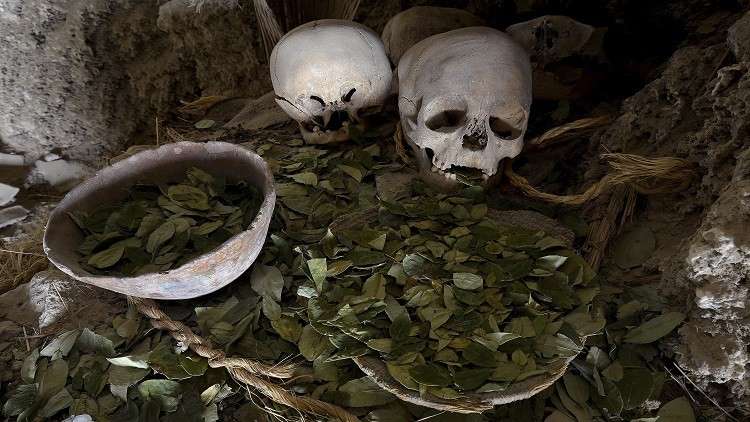 اكتشاف مقبرة جماعية لحضارة منقرضة