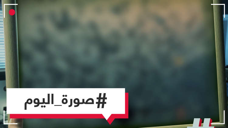 آلاف الطيور ترسم لوحة رائعة فوق نهر يامونا بالهند