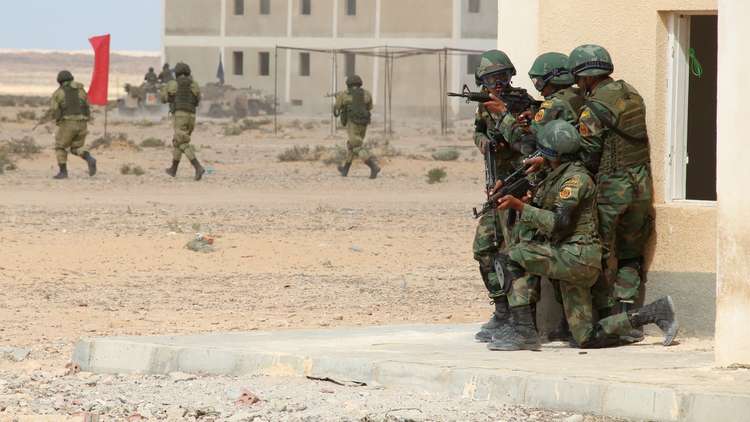 تقرير: الجيش المصري استطاع تعزيز قدراته بسرعة وصار جاهزا لتصنيع السلاح