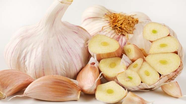 دراسة: الثوم يحوي علاج مرض خطير