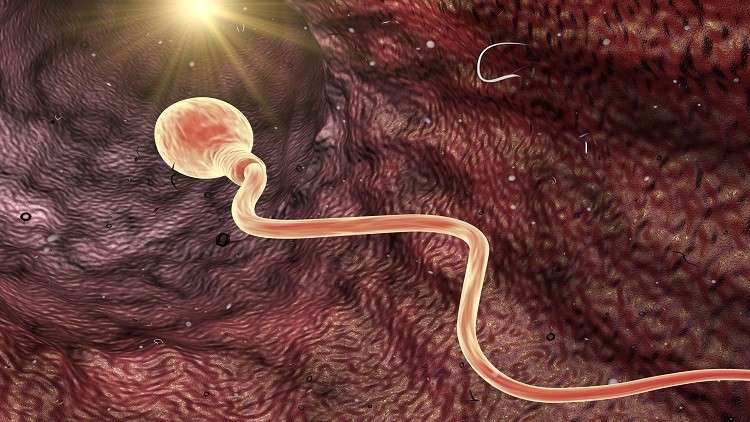 شروط يفرضها جسد المرأة على الحيوانات المنوية لحدوث التخصيب!