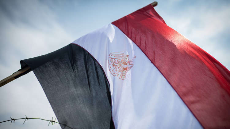 مصر تطلب توضيحا من السعودية بشأن ادعاء بوجود مبيدات في البصل المصدر للمملكة