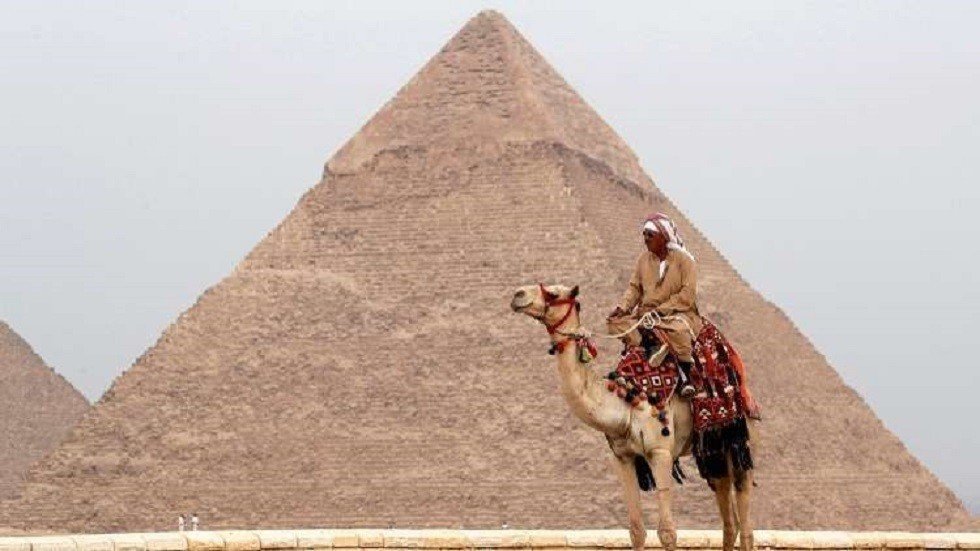 توقعات بانخفاض إنتاج مصر من القطن
