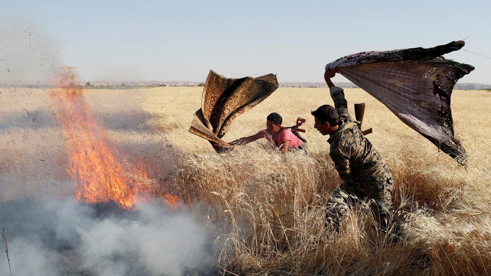 يزرعون القمح .. ويحصدون الرماد: حرائق مجهولة الفاعل في سوريا