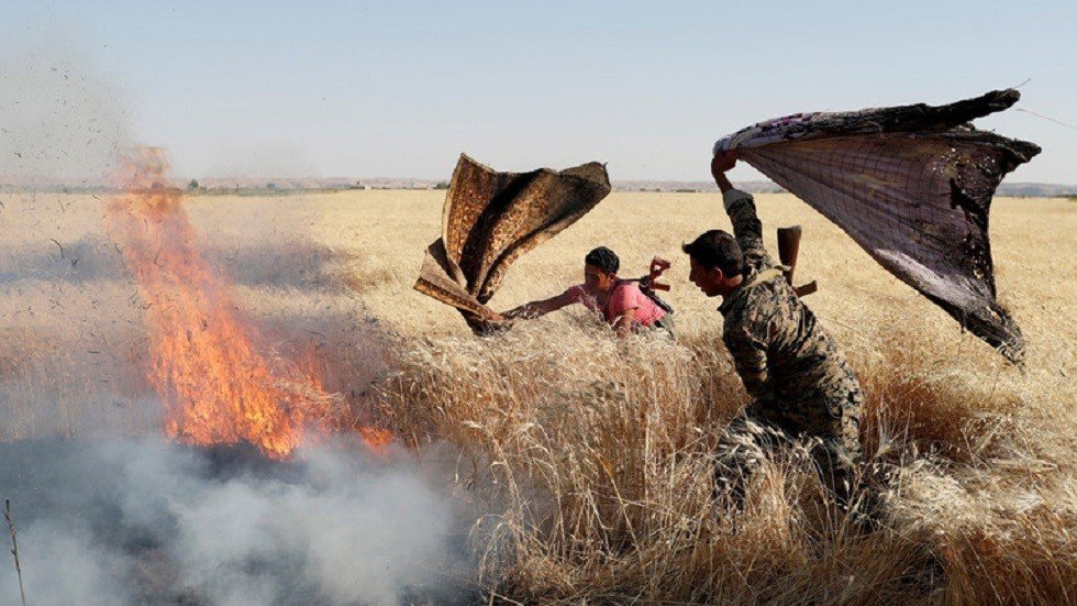 سوريا.. حرائق في أراض زراعية بريف حماة بسبب قذائف المسلحين 
