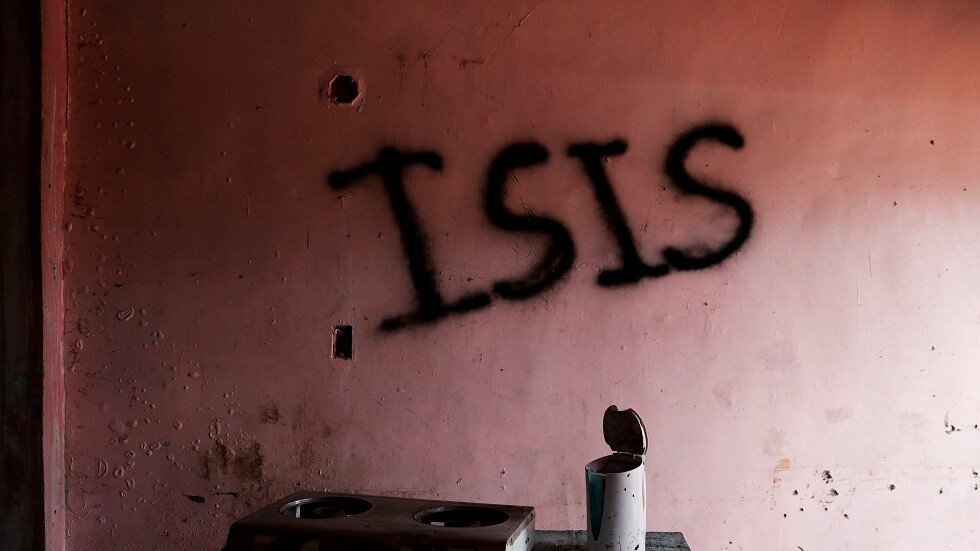 رويترز: فرع تنظيم داعش في سيناء يبايع الزعيم الجديد للتنظيم