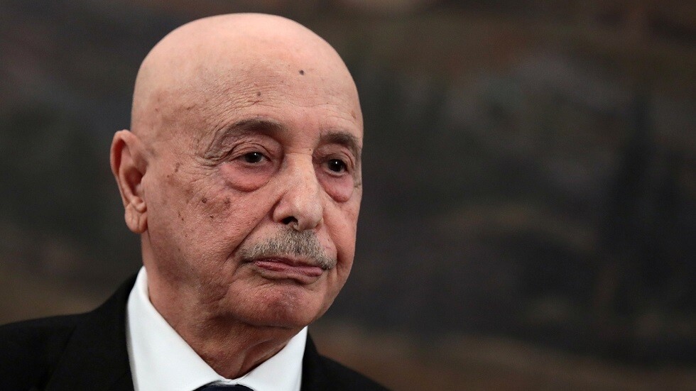 جلسة برلمانية مشتركة لمجلسي النواب المصري والليبي في القاهرة