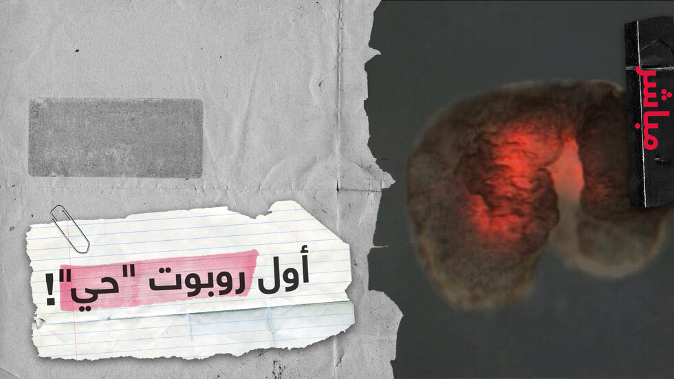 روبوتات من خلايا جذعية حية.. ثورة علمية تثير مخاوف عديدة