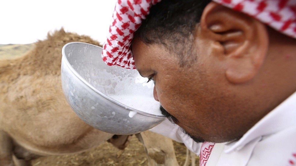 السعودية.. إزالة 15 حظيرة لبيع حليب الإبل على الطرقات