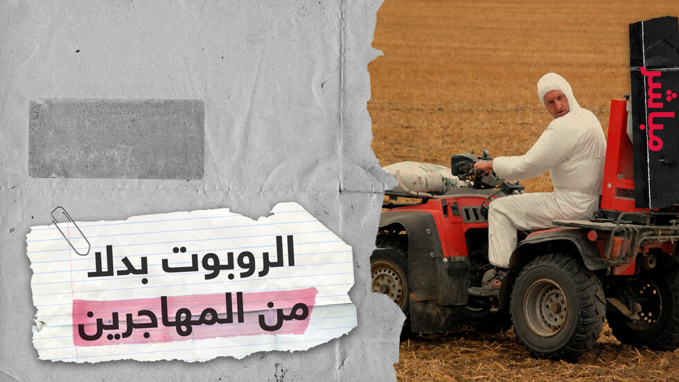 الروبوت بدلا من المهاجرين في بريطانيا.. هل تحل الآلة مشاكل نقص الأيدي العاملة؟