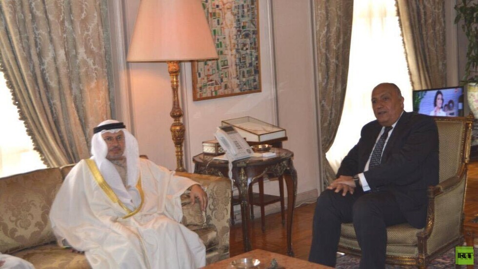 مصر والإمارات ترفضان التدخل الخارجي في سوريا وليبيا