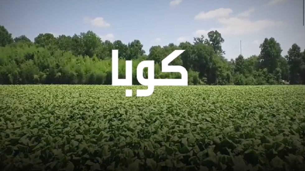 ما هو ثمن الطبيب الكوبي في زمن كورونا؟