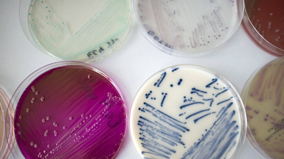 عالم يحذر: جائحة فيروس كورونا 