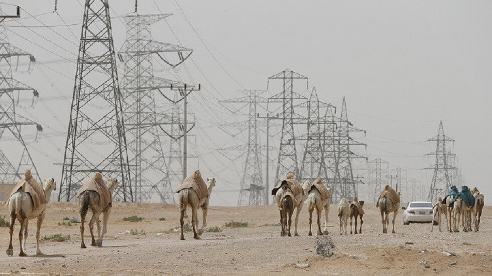 السعودية.. جمال سائبة تتسبب بمقتل 4 أشخاص وإصابة خامس في حادث سير