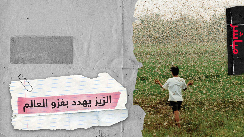 ملايين من حشرات الزيز تستعد للخروج بعد 17 عاما من الاختباء تحت الأرض
