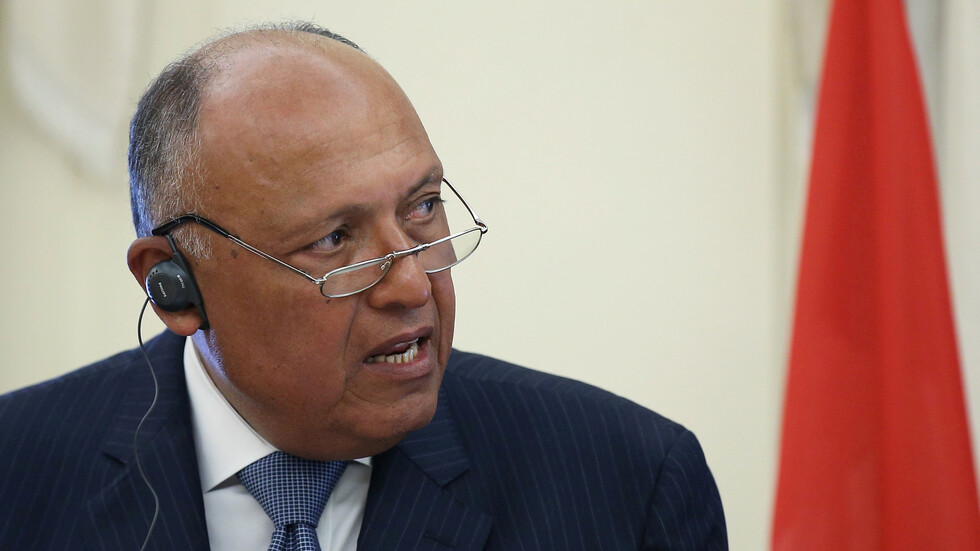 الخارجية المصرية: تركيا تعمل على تجنيد وتدريب ونقل الآلاف من المقاتلين الأجانب من سوريا إلى ليبيا