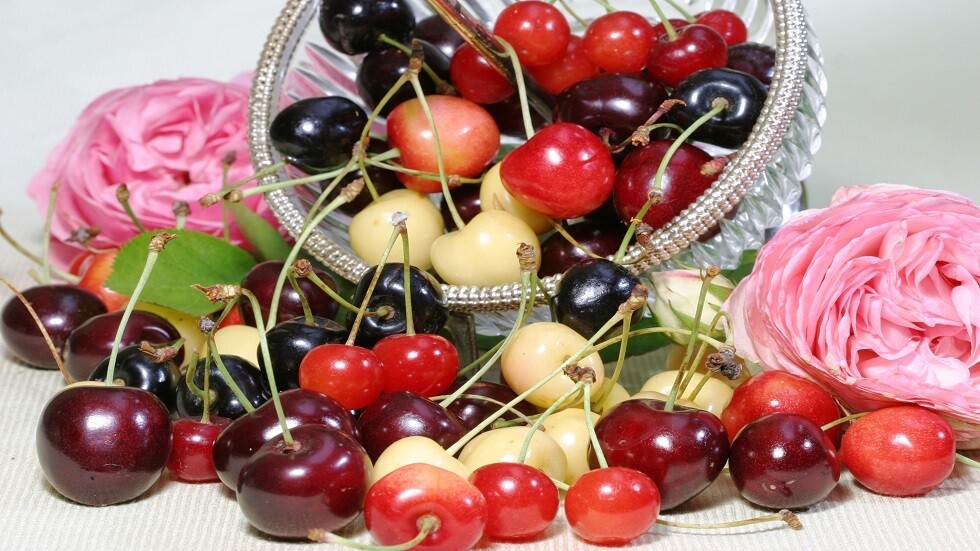 الكرز.. ثمرة لذيذة الطعم ومفيدة للدم