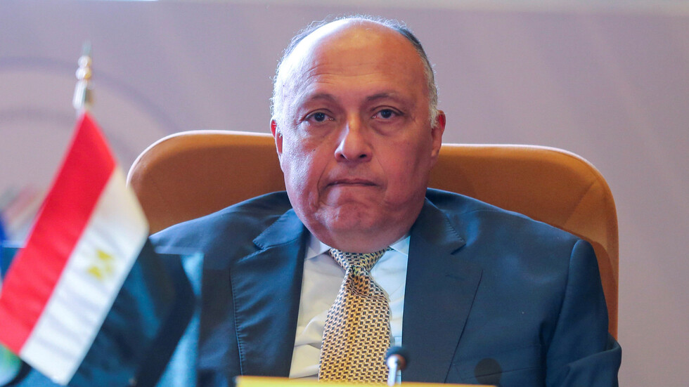 شكري يرد على رفض حكومة الوفاق الوطني الليبية لخطاب السيسي