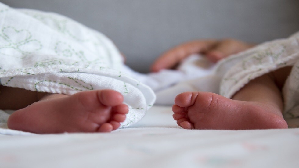 الغيرة تدفع كلبا لمهاجمة توأم حديث الولادة حتى الموت