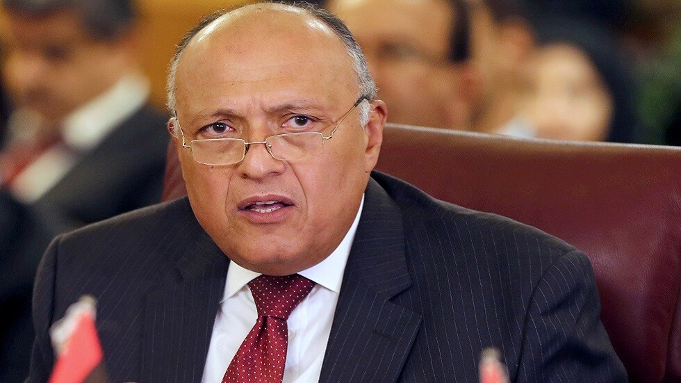 شكري يبحث أزمة ليبيا مع نظيريه الفرنسي والألماني