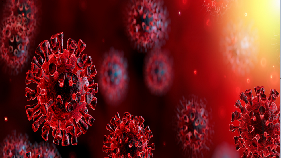 صور مخيفة تظهر خلايا مجرى الهواء تعج بفيروس SARS-CoV-2!
