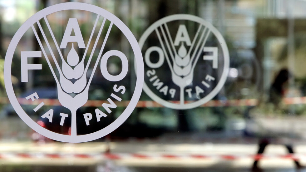 صعود مؤشر أسعار الغذاء العالمية لثالث شهر على التوالي