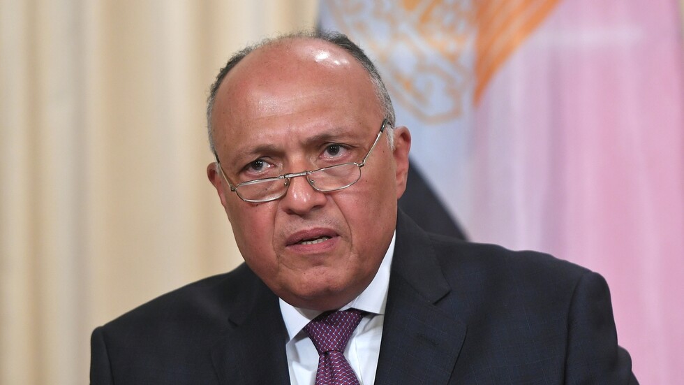 شكري يدعو من موسكو إلى "الوقوف بحزم في وجه التدخلات الخارجية" في ليبيا