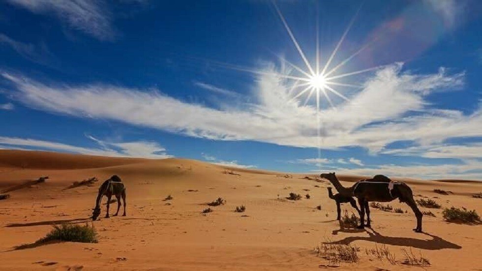 دراسة مقلقة: السعودية تواجه خطرا مناخيا قد يجعلها غير صالحة للسكن بحلول منتصف القرن