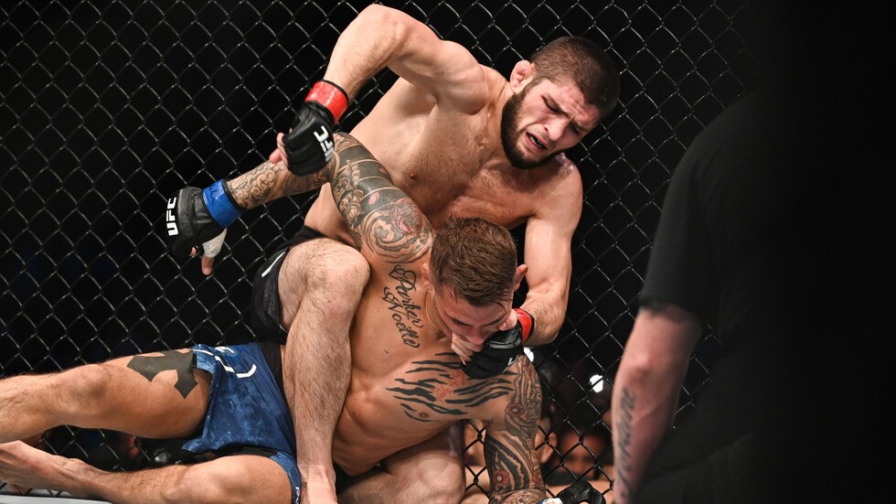 حبيب يكشف عن خططه ما بعد الاعتزال.. وإلى ماذا سيتحول بطل UFC