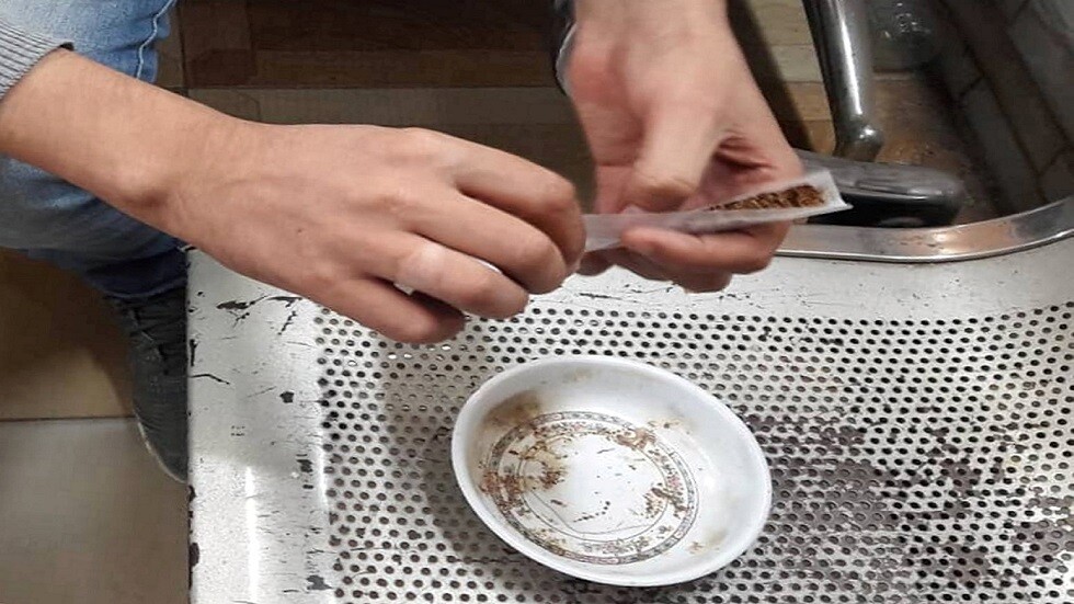 مصر.. سجن موظفين زرعا نباتا مخدرا في فناء مدرسة