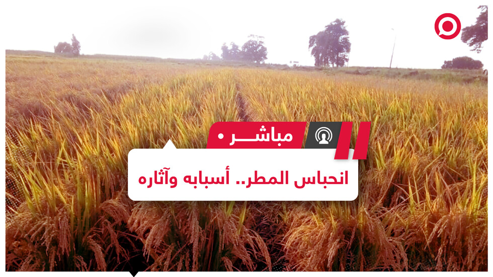 لأول مرة منذ سنوات.. "مربعانية شتاء" جافة وقاسية على القطاع الزراعي