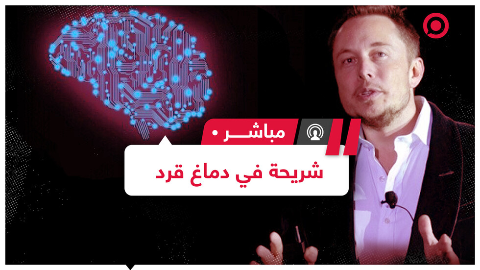 فريق "نيورالينك" يعلم القرود ألعاب الفيديو عبر شريحة لاسلكية ذكية مزروعة في الدماغ
