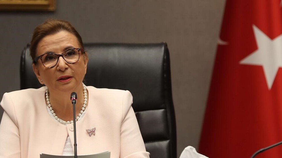 "مطهرات ضد كورونا" قد تطيح بوزيرة تركية من منصبها