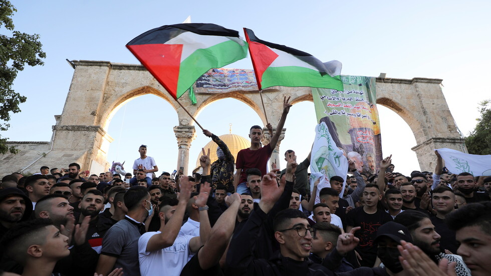 بينها العبرية.. شيخ الأزهر يدعو شعوب وقادة العالم إلى مساندة الشعب الفلسطيني بـ15 لغة
