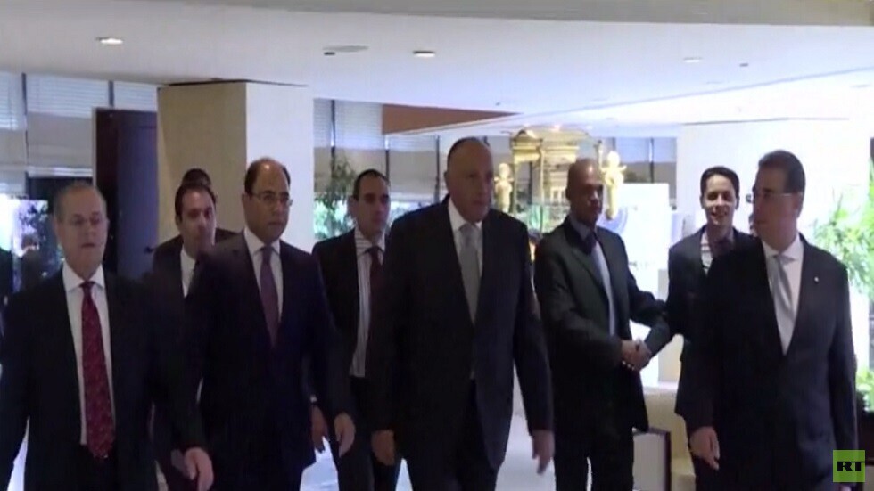 شكري يلتقي المندوبين الدائمين في مجلس الأمن