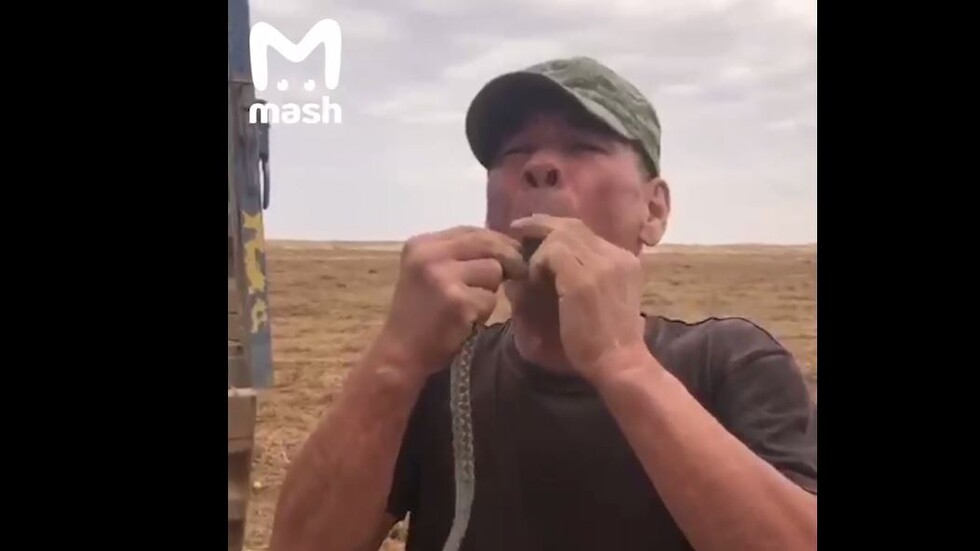 بالفيديو.. وفاة رجل بعد محاولة فاشلة لابتلاع أفعى