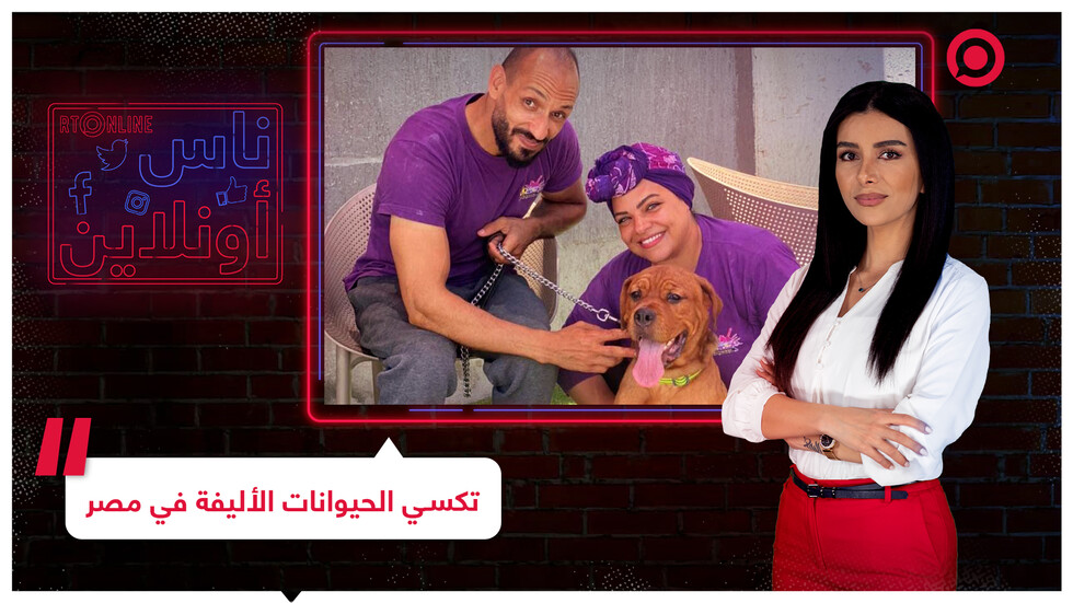 "أليفكم باكسي".. أول خدمة توصيل للحيوانات أليفة في مصر