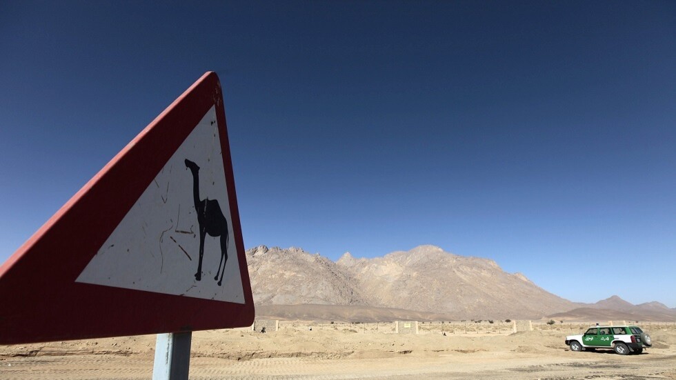 الجزائر تعلن البدء في إنجاز مركزين حدوديين ثابتين بتندوف